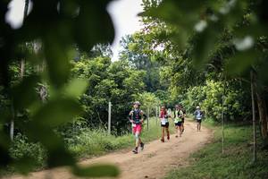 BIB: 
                            <button type="button" onclick="openModal(26824325)" class="btn btn-primary btn-sm float-right btn-popup" data-toggle="modal" data-target=".modal-high-quality">
                        <i class="fas fa-shopping-cart"></i> Add to Cart
                    </button>
                                            <button type="button" onclick="isThisMe(26824325, true)" class="btn btn-success btn-sm float-right btn-popup btn-isme hidden" data-toggle="tooltip" data-placement="bottom" title="นี่คือรูปของคุณใช่ไหม คลิกที่นี่เพื่อเอาเข้าอัลบั้ม">
                        <i class="fas fa-plus"></i> Add to album
                    </button>
                    <button type="button" onclick="isThisMe(26824325, false)" class="btn btn-warning btn-sm float-right btn-popup btn-isnotme hidden">
                        <i class="fas fa-ban"></i> Remove from album
                    </button>