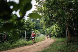 BIB: 
                            <button type="button" onclick="openModal(26833203)" class="btn btn-primary btn-sm float-right btn-popup" data-toggle="modal" data-target=".modal-high-quality">
                        <i class="fas fa-shopping-cart"></i> Add to Cart
                    </button>
                                            <button type="button" onclick="isThisMe(26833203, true)" class="btn btn-success btn-sm float-right btn-popup btn-isme hidden" data-toggle="tooltip" data-placement="bottom" title="นี่คือรูปของคุณใช่ไหม คลิกที่นี่เพื่อเอาเข้าอัลบั้ม">
                        <i class="fas fa-plus"></i> Add to album
                    </button>
                    <button type="button" onclick="isThisMe(26833203, false)" class="btn btn-warning btn-sm float-right btn-popup btn-isnotme hidden">
                        <i class="fas fa-ban"></i> Remove from album
                    </button>