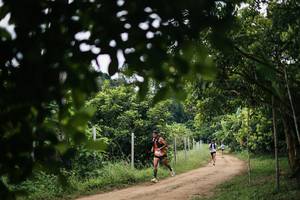 BIB: 
                            <button type="button" onclick="openModal(26834595)" class="btn btn-primary btn-sm float-right btn-popup" data-toggle="modal" data-target=".modal-high-quality">
                        <i class="fas fa-shopping-cart"></i> Add to Cart
                    </button>
                                            <button type="button" onclick="isThisMe(26834595, true)" class="btn btn-success btn-sm float-right btn-popup btn-isme hidden" data-toggle="tooltip" data-placement="bottom" title="นี่คือรูปของคุณใช่ไหม คลิกที่นี่เพื่อเอาเข้าอัลบั้ม">
                        <i class="fas fa-plus"></i> Add to album
                    </button>
                    <button type="button" onclick="isThisMe(26834595, false)" class="btn btn-warning btn-sm float-right btn-popup btn-isnotme hidden">
                        <i class="fas fa-ban"></i> Remove from album
                    </button>