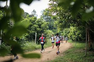 BIB: 
                            <button type="button" onclick="openModal(26822935)" class="btn btn-primary btn-sm float-right btn-popup" data-toggle="modal" data-target=".modal-high-quality">
                        <i class="fas fa-shopping-cart"></i> Add to Cart
                    </button>
                                            <button type="button" onclick="isThisMe(26822935, true)" class="btn btn-success btn-sm float-right btn-popup btn-isme hidden" data-toggle="tooltip" data-placement="bottom" title="นี่คือรูปของคุณใช่ไหม คลิกที่นี่เพื่อเอาเข้าอัลบั้ม">
                        <i class="fas fa-plus"></i> Add to album
                    </button>
                    <button type="button" onclick="isThisMe(26822935, false)" class="btn btn-warning btn-sm float-right btn-popup btn-isnotme hidden">
                        <i class="fas fa-ban"></i> Remove from album
                    </button>