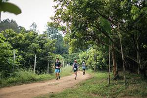 BIB: 
                            <button type="button" onclick="openModal(26821412)" class="btn btn-primary btn-sm float-right btn-popup" data-toggle="modal" data-target=".modal-high-quality">
                        <i class="fas fa-shopping-cart"></i> Add to Cart
                    </button>
                                            <button type="button" onclick="isThisMe(26821412, true)" class="btn btn-success btn-sm float-right btn-popup btn-isme hidden" data-toggle="tooltip" data-placement="bottom" title="นี่คือรูปของคุณใช่ไหม คลิกที่นี่เพื่อเอาเข้าอัลบั้ม">
                        <i class="fas fa-plus"></i> Add to album
                    </button>
                    <button type="button" onclick="isThisMe(26821412, false)" class="btn btn-warning btn-sm float-right btn-popup btn-isnotme hidden">
                        <i class="fas fa-ban"></i> Remove from album
                    </button>