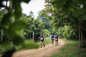 BIB: 
                            <button type="button" onclick="openModal(26822032)" class="btn btn-primary btn-sm float-right btn-popup" data-toggle="modal" data-target=".modal-high-quality">
                        <i class="fas fa-shopping-cart"></i> Add to Cart
                    </button>
                                            <button type="button" onclick="isThisMe(26822032, true)" class="btn btn-success btn-sm float-right btn-popup btn-isme hidden" data-toggle="tooltip" data-placement="bottom" title="นี่คือรูปของคุณใช่ไหม คลิกที่นี่เพื่อเอาเข้าอัลบั้ม">
                        <i class="fas fa-plus"></i> Add to album
                    </button>
                    <button type="button" onclick="isThisMe(26822032, false)" class="btn btn-warning btn-sm float-right btn-popup btn-isnotme hidden">
                        <i class="fas fa-ban"></i> Remove from album
                    </button>