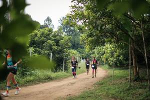 BIB: 
                            <button type="button" onclick="openModal(26822013)" class="btn btn-primary btn-sm float-right btn-popup" data-toggle="modal" data-target=".modal-high-quality">
                        <i class="fas fa-shopping-cart"></i> Add to Cart
                    </button>
                                            <button type="button" onclick="isThisMe(26822013, true)" class="btn btn-success btn-sm float-right btn-popup btn-isme hidden" data-toggle="tooltip" data-placement="bottom" title="นี่คือรูปของคุณใช่ไหม คลิกที่นี่เพื่อเอาเข้าอัลบั้ม">
                        <i class="fas fa-plus"></i> Add to album
                    </button>
                    <button type="button" onclick="isThisMe(26822013, false)" class="btn btn-warning btn-sm float-right btn-popup btn-isnotme hidden">
                        <i class="fas fa-ban"></i> Remove from album
                    </button>