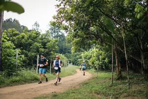 BIB: 
                            <button type="button" onclick="openModal(26821413)" class="btn btn-primary btn-sm float-right btn-popup" data-toggle="modal" data-target=".modal-high-quality">
                        <i class="fas fa-shopping-cart"></i> Add to Cart
                    </button>
                                            <button type="button" onclick="isThisMe(26821413, true)" class="btn btn-success btn-sm float-right btn-popup btn-isme hidden" data-toggle="tooltip" data-placement="bottom" title="นี่คือรูปของคุณใช่ไหม คลิกที่นี่เพื่อเอาเข้าอัลบั้ม">
                        <i class="fas fa-plus"></i> Add to album
                    </button>
                    <button type="button" onclick="isThisMe(26821413, false)" class="btn btn-warning btn-sm float-right btn-popup btn-isnotme hidden">
                        <i class="fas fa-ban"></i> Remove from album
                    </button>