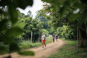 BIB: 
                            <button type="button" onclick="openModal(26824713)" class="btn btn-primary btn-sm float-right btn-popup" data-toggle="modal" data-target=".modal-high-quality">
                        <i class="fas fa-shopping-cart"></i> Add to Cart
                    </button>
                                            <button type="button" onclick="isThisMe(26824713, true)" class="btn btn-success btn-sm float-right btn-popup btn-isme hidden" data-toggle="tooltip" data-placement="bottom" title="นี่คือรูปของคุณใช่ไหม คลิกที่นี่เพื่อเอาเข้าอัลบั้ม">
                        <i class="fas fa-plus"></i> Add to album
                    </button>
                    <button type="button" onclick="isThisMe(26824713, false)" class="btn btn-warning btn-sm float-right btn-popup btn-isnotme hidden">
                        <i class="fas fa-ban"></i> Remove from album
                    </button>