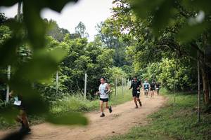 BIB: 
                            <button type="button" onclick="openModal(26822705)" class="btn btn-primary btn-sm float-right btn-popup" data-toggle="modal" data-target=".modal-high-quality">
                        <i class="fas fa-shopping-cart"></i> Add to Cart
                    </button>
                                            <button type="button" onclick="isThisMe(26822705, true)" class="btn btn-success btn-sm float-right btn-popup btn-isme hidden" data-toggle="tooltip" data-placement="bottom" title="นี่คือรูปของคุณใช่ไหม คลิกที่นี่เพื่อเอาเข้าอัลบั้ม">
                        <i class="fas fa-plus"></i> Add to album
                    </button>
                    <button type="button" onclick="isThisMe(26822705, false)" class="btn btn-warning btn-sm float-right btn-popup btn-isnotme hidden">
                        <i class="fas fa-ban"></i> Remove from album
                    </button>