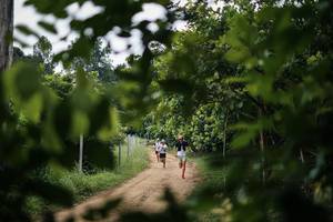 BIB: 
                            <button type="button" onclick="openModal(26834699)" class="btn btn-primary btn-sm float-right btn-popup" data-toggle="modal" data-target=".modal-high-quality">
                        <i class="fas fa-shopping-cart"></i> Add to Cart
                    </button>
                                            <button type="button" onclick="isThisMe(26834699, true)" class="btn btn-success btn-sm float-right btn-popup btn-isme hidden" data-toggle="tooltip" data-placement="bottom" title="นี่คือรูปของคุณใช่ไหม คลิกที่นี่เพื่อเอาเข้าอัลบั้ม">
                        <i class="fas fa-plus"></i> Add to album
                    </button>
                    <button type="button" onclick="isThisMe(26834699, false)" class="btn btn-warning btn-sm float-right btn-popup btn-isnotme hidden">
                        <i class="fas fa-ban"></i> Remove from album
                    </button>