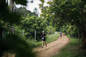 BIB: 
                            <button type="button" onclick="openModal(26829187)" class="btn btn-primary btn-sm float-right btn-popup" data-toggle="modal" data-target=".modal-high-quality">
                        <i class="fas fa-shopping-cart"></i> Add to Cart
                    </button>
                                            <button type="button" onclick="isThisMe(26829187, true)" class="btn btn-success btn-sm float-right btn-popup btn-isme hidden" data-toggle="tooltip" data-placement="bottom" title="นี่คือรูปของคุณใช่ไหม คลิกที่นี่เพื่อเอาเข้าอัลบั้ม">
                        <i class="fas fa-plus"></i> Add to album
                    </button>
                    <button type="button" onclick="isThisMe(26829187, false)" class="btn btn-warning btn-sm float-right btn-popup btn-isnotme hidden">
                        <i class="fas fa-ban"></i> Remove from album
                    </button>