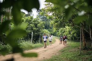 BIB: 
                            <button type="button" onclick="openModal(26822463)" class="btn btn-primary btn-sm float-right btn-popup" data-toggle="modal" data-target=".modal-high-quality">
                        <i class="fas fa-shopping-cart"></i> Add to Cart
                    </button>
                                            <button type="button" onclick="isThisMe(26822463, true)" class="btn btn-success btn-sm float-right btn-popup btn-isme hidden" data-toggle="tooltip" data-placement="bottom" title="นี่คือรูปของคุณใช่ไหม คลิกที่นี่เพื่อเอาเข้าอัลบั้ม">
                        <i class="fas fa-plus"></i> Add to album
                    </button>
                    <button type="button" onclick="isThisMe(26822463, false)" class="btn btn-warning btn-sm float-right btn-popup btn-isnotme hidden">
                        <i class="fas fa-ban"></i> Remove from album
                    </button>