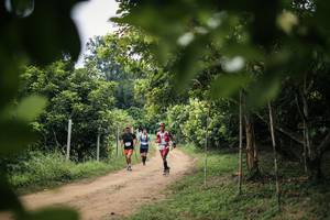 BIB: 
                            <button type="button" onclick="openModal(26824475)" class="btn btn-primary btn-sm float-right btn-popup" data-toggle="modal" data-target=".modal-high-quality">
                        <i class="fas fa-shopping-cart"></i> Add to Cart
                    </button>
                                            <button type="button" onclick="isThisMe(26824475, true)" class="btn btn-success btn-sm float-right btn-popup btn-isme hidden" data-toggle="tooltip" data-placement="bottom" title="นี่คือรูปของคุณใช่ไหม คลิกที่นี่เพื่อเอาเข้าอัลบั้ม">
                        <i class="fas fa-plus"></i> Add to album
                    </button>
                    <button type="button" onclick="isThisMe(26824475, false)" class="btn btn-warning btn-sm float-right btn-popup btn-isnotme hidden">
                        <i class="fas fa-ban"></i> Remove from album
                    </button>