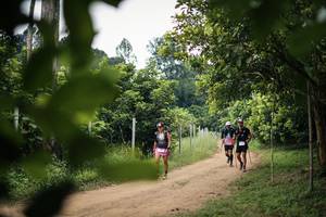 BIB: 
                            <button type="button" onclick="openModal(26821832)" class="btn btn-primary btn-sm float-right btn-popup" data-toggle="modal" data-target=".modal-high-quality">
                        <i class="fas fa-shopping-cart"></i> Add to Cart
                    </button>
                                            <button type="button" onclick="isThisMe(26821832, true)" class="btn btn-success btn-sm float-right btn-popup btn-isme hidden" data-toggle="tooltip" data-placement="bottom" title="นี่คือรูปของคุณใช่ไหม คลิกที่นี่เพื่อเอาเข้าอัลบั้ม">
                        <i class="fas fa-plus"></i> Add to album
                    </button>
                    <button type="button" onclick="isThisMe(26821832, false)" class="btn btn-warning btn-sm float-right btn-popup btn-isnotme hidden">
                        <i class="fas fa-ban"></i> Remove from album
                    </button>