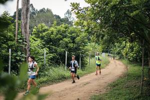 BIB: 
                            <button type="button" onclick="openModal(26828141)" class="btn btn-primary btn-sm float-right btn-popup" data-toggle="modal" data-target=".modal-high-quality">
                        <i class="fas fa-shopping-cart"></i> Add to Cart
                    </button>
                                            <button type="button" onclick="isThisMe(26828141, true)" class="btn btn-success btn-sm float-right btn-popup btn-isme hidden" data-toggle="tooltip" data-placement="bottom" title="นี่คือรูปของคุณใช่ไหม คลิกที่นี่เพื่อเอาเข้าอัลบั้ม">
                        <i class="fas fa-plus"></i> Add to album
                    </button>
                    <button type="button" onclick="isThisMe(26828141, false)" class="btn btn-warning btn-sm float-right btn-popup btn-isnotme hidden">
                        <i class="fas fa-ban"></i> Remove from album
                    </button>