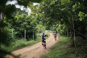 BIB: 
                            <button type="button" onclick="openModal(26821094)" class="btn btn-primary btn-sm float-right btn-popup" data-toggle="modal" data-target=".modal-high-quality">
                        <i class="fas fa-shopping-cart"></i> Add to Cart
                    </button>
                                            <button type="button" onclick="isThisMe(26821094, true)" class="btn btn-success btn-sm float-right btn-popup btn-isme hidden" data-toggle="tooltip" data-placement="bottom" title="นี่คือรูปของคุณใช่ไหม คลิกที่นี่เพื่อเอาเข้าอัลบั้ม">
                        <i class="fas fa-plus"></i> Add to album
                    </button>
                    <button type="button" onclick="isThisMe(26821094, false)" class="btn btn-warning btn-sm float-right btn-popup btn-isnotme hidden">
                        <i class="fas fa-ban"></i> Remove from album
                    </button>