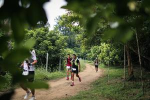 BIB: 
                            <button type="button" onclick="openModal(26823914)" class="btn btn-primary btn-sm float-right btn-popup" data-toggle="modal" data-target=".modal-high-quality">
                        <i class="fas fa-shopping-cart"></i> Add to Cart
                    </button>
                                            <button type="button" onclick="isThisMe(26823914, true)" class="btn btn-success btn-sm float-right btn-popup btn-isme hidden" data-toggle="tooltip" data-placement="bottom" title="นี่คือรูปของคุณใช่ไหม คลิกที่นี่เพื่อเอาเข้าอัลบั้ม">
                        <i class="fas fa-plus"></i> Add to album
                    </button>
                    <button type="button" onclick="isThisMe(26823914, false)" class="btn btn-warning btn-sm float-right btn-popup btn-isnotme hidden">
                        <i class="fas fa-ban"></i> Remove from album
                    </button>