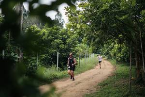 BIB: 
                            <button type="button" onclick="openModal(26829255)" class="btn btn-primary btn-sm float-right btn-popup" data-toggle="modal" data-target=".modal-high-quality">
                        <i class="fas fa-shopping-cart"></i> Add to Cart
                    </button>
                                            <button type="button" onclick="isThisMe(26829255, true)" class="btn btn-success btn-sm float-right btn-popup btn-isme hidden" data-toggle="tooltip" data-placement="bottom" title="นี่คือรูปของคุณใช่ไหม คลิกที่นี่เพื่อเอาเข้าอัลบั้ม">
                        <i class="fas fa-plus"></i> Add to album
                    </button>
                    <button type="button" onclick="isThisMe(26829255, false)" class="btn btn-warning btn-sm float-right btn-popup btn-isnotme hidden">
                        <i class="fas fa-ban"></i> Remove from album
                    </button>