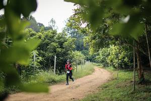 BIB: 
                            <button type="button" onclick="openModal(26821185)" class="btn btn-primary btn-sm float-right btn-popup" data-toggle="modal" data-target=".modal-high-quality">
                        <i class="fas fa-shopping-cart"></i> Add to Cart
                    </button>
                                            <button type="button" onclick="isThisMe(26821185, true)" class="btn btn-success btn-sm float-right btn-popup btn-isme hidden" data-toggle="tooltip" data-placement="bottom" title="นี่คือรูปของคุณใช่ไหม คลิกที่นี่เพื่อเอาเข้าอัลบั้ม">
                        <i class="fas fa-plus"></i> Add to album
                    </button>
                    <button type="button" onclick="isThisMe(26821185, false)" class="btn btn-warning btn-sm float-right btn-popup btn-isnotme hidden">
                        <i class="fas fa-ban"></i> Remove from album
                    </button>