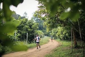 BIB: 
                            <button type="button" onclick="openModal(26821207)" class="btn btn-primary btn-sm float-right btn-popup" data-toggle="modal" data-target=".modal-high-quality">
                        <i class="fas fa-shopping-cart"></i> Add to Cart
                    </button>
                                            <button type="button" onclick="isThisMe(26821207, true)" class="btn btn-success btn-sm float-right btn-popup btn-isme hidden" data-toggle="tooltip" data-placement="bottom" title="นี่คือรูปของคุณใช่ไหม คลิกที่นี่เพื่อเอาเข้าอัลบั้ม">
                        <i class="fas fa-plus"></i> Add to album
                    </button>
                    <button type="button" onclick="isThisMe(26821207, false)" class="btn btn-warning btn-sm float-right btn-popup btn-isnotme hidden">
                        <i class="fas fa-ban"></i> Remove from album
                    </button>