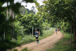 BIB: 
                            <button type="button" onclick="openModal(26827699)" class="btn btn-primary btn-sm float-right btn-popup" data-toggle="modal" data-target=".modal-high-quality">
                        <i class="fas fa-shopping-cart"></i> Add to Cart
                    </button>
                                            <button type="button" onclick="isThisMe(26827699, true)" class="btn btn-success btn-sm float-right btn-popup btn-isme hidden" data-toggle="tooltip" data-placement="bottom" title="นี่คือรูปของคุณใช่ไหม คลิกที่นี่เพื่อเอาเข้าอัลบั้ม">
                        <i class="fas fa-plus"></i> Add to album
                    </button>
                    <button type="button" onclick="isThisMe(26827699, false)" class="btn btn-warning btn-sm float-right btn-popup btn-isnotme hidden">
                        <i class="fas fa-ban"></i> Remove from album
                    </button>