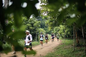 BIB: 
                            <button type="button" onclick="openModal(26822493)" class="btn btn-primary btn-sm float-right btn-popup" data-toggle="modal" data-target=".modal-high-quality">
                        <i class="fas fa-shopping-cart"></i> Add to Cart
                    </button>
                                            <button type="button" onclick="isThisMe(26822493, true)" class="btn btn-success btn-sm float-right btn-popup btn-isme hidden" data-toggle="tooltip" data-placement="bottom" title="นี่คือรูปของคุณใช่ไหม คลิกที่นี่เพื่อเอาเข้าอัลบั้ม">
                        <i class="fas fa-plus"></i> Add to album
                    </button>
                    <button type="button" onclick="isThisMe(26822493, false)" class="btn btn-warning btn-sm float-right btn-popup btn-isnotme hidden">
                        <i class="fas fa-ban"></i> Remove from album
                    </button>