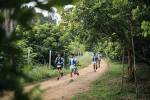 BIB: 
                            <button type="button" onclick="openModal(26830254)" class="btn btn-primary btn-sm float-right btn-popup" data-toggle="modal" data-target=".modal-high-quality">
                        <i class="fas fa-shopping-cart"></i> Add to Cart
                    </button>
                                            <button type="button" onclick="isThisMe(26830254, true)" class="btn btn-success btn-sm float-right btn-popup btn-isme hidden" data-toggle="tooltip" data-placement="bottom" title="นี่คือรูปของคุณใช่ไหม คลิกที่นี่เพื่อเอาเข้าอัลบั้ม">
                        <i class="fas fa-plus"></i> Add to album
                    </button>
                    <button type="button" onclick="isThisMe(26830254, false)" class="btn btn-warning btn-sm float-right btn-popup btn-isnotme hidden">
                        <i class="fas fa-ban"></i> Remove from album
                    </button>