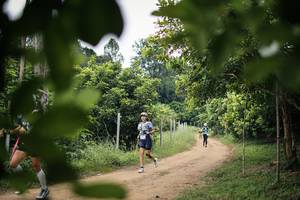 BIB: 
                            <button type="button" onclick="openModal(26824571)" class="btn btn-primary btn-sm float-right btn-popup" data-toggle="modal" data-target=".modal-high-quality">
                        <i class="fas fa-shopping-cart"></i> Add to Cart
                    </button>
                                            <button type="button" onclick="isThisMe(26824571, true)" class="btn btn-success btn-sm float-right btn-popup btn-isme hidden" data-toggle="tooltip" data-placement="bottom" title="นี่คือรูปของคุณใช่ไหม คลิกที่นี่เพื่อเอาเข้าอัลบั้ม">
                        <i class="fas fa-plus"></i> Add to album
                    </button>
                    <button type="button" onclick="isThisMe(26824571, false)" class="btn btn-warning btn-sm float-right btn-popup btn-isnotme hidden">
                        <i class="fas fa-ban"></i> Remove from album
                    </button>