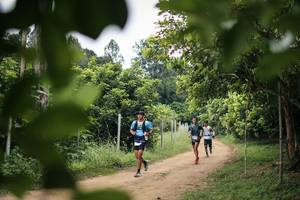 BIB: 
                            <button type="button" onclick="openModal(26823614)" class="btn btn-primary btn-sm float-right btn-popup" data-toggle="modal" data-target=".modal-high-quality">
                        <i class="fas fa-shopping-cart"></i> Add to Cart
                    </button>
                                            <button type="button" onclick="isThisMe(26823614, true)" class="btn btn-success btn-sm float-right btn-popup btn-isme hidden" data-toggle="tooltip" data-placement="bottom" title="นี่คือรูปของคุณใช่ไหม คลิกที่นี่เพื่อเอาเข้าอัลบั้ม">
                        <i class="fas fa-plus"></i> Add to album
                    </button>
                    <button type="button" onclick="isThisMe(26823614, false)" class="btn btn-warning btn-sm float-right btn-popup btn-isnotme hidden">
                        <i class="fas fa-ban"></i> Remove from album
                    </button>