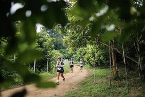 BIB: 
                            <button type="button" onclick="openModal(26831640)" class="btn btn-primary btn-sm float-right btn-popup" data-toggle="modal" data-target=".modal-high-quality">
                        <i class="fas fa-shopping-cart"></i> Add to Cart
                    </button>
                                            <button type="button" onclick="isThisMe(26831640, true)" class="btn btn-success btn-sm float-right btn-popup btn-isme hidden" data-toggle="tooltip" data-placement="bottom" title="นี่คือรูปของคุณใช่ไหม คลิกที่นี่เพื่อเอาเข้าอัลบั้ม">
                        <i class="fas fa-plus"></i> Add to album
                    </button>
                    <button type="button" onclick="isThisMe(26831640, false)" class="btn btn-warning btn-sm float-right btn-popup btn-isnotme hidden">
                        <i class="fas fa-ban"></i> Remove from album
                    </button>