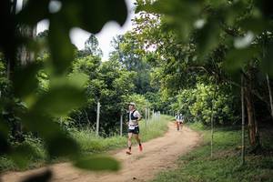 BIB: 
                            <button type="button" onclick="openModal(26824854)" class="btn btn-primary btn-sm float-right btn-popup" data-toggle="modal" data-target=".modal-high-quality">
                        <i class="fas fa-shopping-cart"></i> Add to Cart
                    </button>
                                            <button type="button" onclick="isThisMe(26824854, true)" class="btn btn-success btn-sm float-right btn-popup btn-isme hidden" data-toggle="tooltip" data-placement="bottom" title="นี่คือรูปของคุณใช่ไหม คลิกที่นี่เพื่อเอาเข้าอัลบั้ม">
                        <i class="fas fa-plus"></i> Add to album
                    </button>
                    <button type="button" onclick="isThisMe(26824854, false)" class="btn btn-warning btn-sm float-right btn-popup btn-isnotme hidden">
                        <i class="fas fa-ban"></i> Remove from album
                    </button>