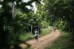 BIB: 
                            <button type="button" onclick="openModal(26828830)" class="btn btn-primary btn-sm float-right btn-popup" data-toggle="modal" data-target=".modal-high-quality">
                        <i class="fas fa-shopping-cart"></i> Add to Cart
                    </button>
                                            <button type="button" onclick="isThisMe(26828830, true)" class="btn btn-success btn-sm float-right btn-popup btn-isme hidden" data-toggle="tooltip" data-placement="bottom" title="นี่คือรูปของคุณใช่ไหม คลิกที่นี่เพื่อเอาเข้าอัลบั้ม">
                        <i class="fas fa-plus"></i> Add to album
                    </button>
                    <button type="button" onclick="isThisMe(26828830, false)" class="btn btn-warning btn-sm float-right btn-popup btn-isnotme hidden">
                        <i class="fas fa-ban"></i> Remove from album
                    </button>