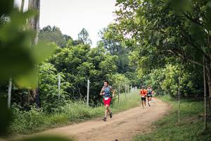 BIB: 
                            <button type="button" onclick="openModal(26827385)" class="btn btn-primary btn-sm float-right btn-popup" data-toggle="modal" data-target=".modal-high-quality">
                        <i class="fas fa-shopping-cart"></i> Add to Cart
                    </button>
                                            <button type="button" onclick="isThisMe(26827385, true)" class="btn btn-success btn-sm float-right btn-popup btn-isme hidden" data-toggle="tooltip" data-placement="bottom" title="นี่คือรูปของคุณใช่ไหม คลิกที่นี่เพื่อเอาเข้าอัลบั้ม">
                        <i class="fas fa-plus"></i> Add to album
                    </button>
                    <button type="button" onclick="isThisMe(26827385, false)" class="btn btn-warning btn-sm float-right btn-popup btn-isnotme hidden">
                        <i class="fas fa-ban"></i> Remove from album
                    </button>