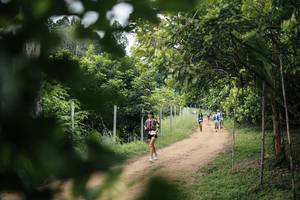 BIB: 
                            <button type="button" onclick="openModal(26830291)" class="btn btn-primary btn-sm float-right btn-popup" data-toggle="modal" data-target=".modal-high-quality">
                        <i class="fas fa-shopping-cart"></i> Add to Cart
                    </button>
                                            <button type="button" onclick="isThisMe(26830291, true)" class="btn btn-success btn-sm float-right btn-popup btn-isme hidden" data-toggle="tooltip" data-placement="bottom" title="นี่คือรูปของคุณใช่ไหม คลิกที่นี่เพื่อเอาเข้าอัลบั้ม">
                        <i class="fas fa-plus"></i> Add to album
                    </button>
                    <button type="button" onclick="isThisMe(26830291, false)" class="btn btn-warning btn-sm float-right btn-popup btn-isnotme hidden">
                        <i class="fas fa-ban"></i> Remove from album
                    </button>