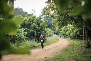 BIB: 
                            <button type="button" onclick="openModal(26821269)" class="btn btn-primary btn-sm float-right btn-popup" data-toggle="modal" data-target=".modal-high-quality">
                        <i class="fas fa-shopping-cart"></i> Add to Cart
                    </button>
                                            <button type="button" onclick="isThisMe(26821269, true)" class="btn btn-success btn-sm float-right btn-popup btn-isme hidden" data-toggle="tooltip" data-placement="bottom" title="นี่คือรูปของคุณใช่ไหม คลิกที่นี่เพื่อเอาเข้าอัลบั้ม">
                        <i class="fas fa-plus"></i> Add to album
                    </button>
                    <button type="button" onclick="isThisMe(26821269, false)" class="btn btn-warning btn-sm float-right btn-popup btn-isnotme hidden">
                        <i class="fas fa-ban"></i> Remove from album
                    </button>