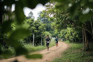 BIB: 
                            <button type="button" onclick="openModal(26826542)" class="btn btn-primary btn-sm float-right btn-popup" data-toggle="modal" data-target=".modal-high-quality">
                        <i class="fas fa-shopping-cart"></i> Add to Cart
                    </button>
                                            <button type="button" onclick="isThisMe(26826542, true)" class="btn btn-success btn-sm float-right btn-popup btn-isme hidden" data-toggle="tooltip" data-placement="bottom" title="นี่คือรูปของคุณใช่ไหม คลิกที่นี่เพื่อเอาเข้าอัลบั้ม">
                        <i class="fas fa-plus"></i> Add to album
                    </button>
                    <button type="button" onclick="isThisMe(26826542, false)" class="btn btn-warning btn-sm float-right btn-popup btn-isnotme hidden">
                        <i class="fas fa-ban"></i> Remove from album
                    </button>