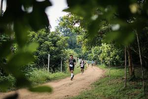 BIB: 
                            <button type="button" onclick="openModal(26821607)" class="btn btn-primary btn-sm float-right btn-popup" data-toggle="modal" data-target=".modal-high-quality">
                        <i class="fas fa-shopping-cart"></i> Add to Cart
                    </button>
                                            <button type="button" onclick="isThisMe(26821607, true)" class="btn btn-success btn-sm float-right btn-popup btn-isme hidden" data-toggle="tooltip" data-placement="bottom" title="นี่คือรูปของคุณใช่ไหม คลิกที่นี่เพื่อเอาเข้าอัลบั้ม">
                        <i class="fas fa-plus"></i> Add to album
                    </button>
                    <button type="button" onclick="isThisMe(26821607, false)" class="btn btn-warning btn-sm float-right btn-popup btn-isnotme hidden">
                        <i class="fas fa-ban"></i> Remove from album
                    </button>