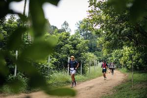 BIB: 
                            <button type="button" onclick="openModal(26823376)" class="btn btn-primary btn-sm float-right btn-popup" data-toggle="modal" data-target=".modal-high-quality">
                        <i class="fas fa-shopping-cart"></i> Add to Cart
                    </button>
                                            <button type="button" onclick="isThisMe(26823376, true)" class="btn btn-success btn-sm float-right btn-popup btn-isme hidden" data-toggle="tooltip" data-placement="bottom" title="นี่คือรูปของคุณใช่ไหม คลิกที่นี่เพื่อเอาเข้าอัลบั้ม">
                        <i class="fas fa-plus"></i> Add to album
                    </button>
                    <button type="button" onclick="isThisMe(26823376, false)" class="btn btn-warning btn-sm float-right btn-popup btn-isnotme hidden">
                        <i class="fas fa-ban"></i> Remove from album
                    </button>