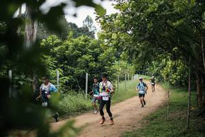 BIB: 
                            <button type="button" onclick="openModal(26828609)" class="btn btn-primary btn-sm float-right btn-popup" data-toggle="modal" data-target=".modal-high-quality">
                        <i class="fas fa-shopping-cart"></i> Add to Cart
                    </button>
                                            <button type="button" onclick="isThisMe(26828609, true)" class="btn btn-success btn-sm float-right btn-popup btn-isme hidden" data-toggle="tooltip" data-placement="bottom" title="นี่คือรูปของคุณใช่ไหม คลิกที่นี่เพื่อเอาเข้าอัลบั้ม">
                        <i class="fas fa-plus"></i> Add to album
                    </button>
                    <button type="button" onclick="isThisMe(26828609, false)" class="btn btn-warning btn-sm float-right btn-popup btn-isnotme hidden">
                        <i class="fas fa-ban"></i> Remove from album
                    </button>