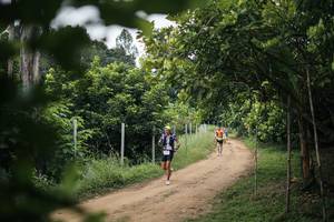 BIB: 
                            <button type="button" onclick="openModal(26829178)" class="btn btn-primary btn-sm float-right btn-popup" data-toggle="modal" data-target=".modal-high-quality">
                        <i class="fas fa-shopping-cart"></i> Add to Cart
                    </button>
                                            <button type="button" onclick="isThisMe(26829178, true)" class="btn btn-success btn-sm float-right btn-popup btn-isme hidden" data-toggle="tooltip" data-placement="bottom" title="นี่คือรูปของคุณใช่ไหม คลิกที่นี่เพื่อเอาเข้าอัลบั้ม">
                        <i class="fas fa-plus"></i> Add to album
                    </button>
                    <button type="button" onclick="isThisMe(26829178, false)" class="btn btn-warning btn-sm float-right btn-popup btn-isnotme hidden">
                        <i class="fas fa-ban"></i> Remove from album
                    </button>