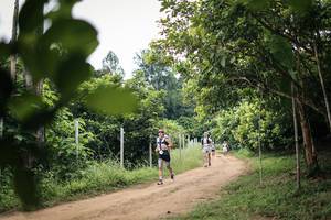 BIB: 
                            <button type="button" onclick="openModal(26833834)" class="btn btn-primary btn-sm float-right btn-popup" data-toggle="modal" data-target=".modal-high-quality">
                        <i class="fas fa-shopping-cart"></i> Add to Cart
                    </button>
                                            <button type="button" onclick="isThisMe(26833834, true)" class="btn btn-success btn-sm float-right btn-popup btn-isme hidden" data-toggle="tooltip" data-placement="bottom" title="นี่คือรูปของคุณใช่ไหม คลิกที่นี่เพื่อเอาเข้าอัลบั้ม">
                        <i class="fas fa-plus"></i> Add to album
                    </button>
                    <button type="button" onclick="isThisMe(26833834, false)" class="btn btn-warning btn-sm float-right btn-popup btn-isnotme hidden">
                        <i class="fas fa-ban"></i> Remove from album
                    </button>