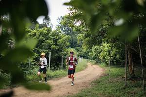 BIB: 
                            <button type="button" onclick="openModal(26823953)" class="btn btn-primary btn-sm float-right btn-popup" data-toggle="modal" data-target=".modal-high-quality">
                        <i class="fas fa-shopping-cart"></i> Add to Cart
                    </button>
                                            <button type="button" onclick="isThisMe(26823953, true)" class="btn btn-success btn-sm float-right btn-popup btn-isme hidden" data-toggle="tooltip" data-placement="bottom" title="นี่คือรูปของคุณใช่ไหม คลิกที่นี่เพื่อเอาเข้าอัลบั้ม">
                        <i class="fas fa-plus"></i> Add to album
                    </button>
                    <button type="button" onclick="isThisMe(26823953, false)" class="btn btn-warning btn-sm float-right btn-popup btn-isnotme hidden">
                        <i class="fas fa-ban"></i> Remove from album
                    </button>