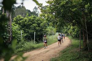 BIB: 
                            <button type="button" onclick="openModal(26828464)" class="btn btn-primary btn-sm float-right btn-popup" data-toggle="modal" data-target=".modal-high-quality">
                        <i class="fas fa-shopping-cart"></i> Add to Cart
                    </button>
                                            <button type="button" onclick="isThisMe(26828464, true)" class="btn btn-success btn-sm float-right btn-popup btn-isme hidden" data-toggle="tooltip" data-placement="bottom" title="นี่คือรูปของคุณใช่ไหม คลิกที่นี่เพื่อเอาเข้าอัลบั้ม">
                        <i class="fas fa-plus"></i> Add to album
                    </button>
                    <button type="button" onclick="isThisMe(26828464, false)" class="btn btn-warning btn-sm float-right btn-popup btn-isnotme hidden">
                        <i class="fas fa-ban"></i> Remove from album
                    </button>