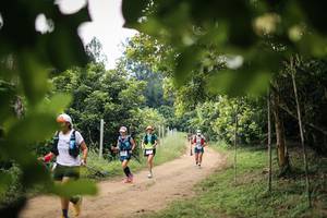 BIB: 
                            <button type="button" onclick="openModal(26821288)" class="btn btn-primary btn-sm float-right btn-popup" data-toggle="modal" data-target=".modal-high-quality">
                        <i class="fas fa-shopping-cart"></i> Add to Cart
                    </button>
                                            <button type="button" onclick="isThisMe(26821288, true)" class="btn btn-success btn-sm float-right btn-popup btn-isme hidden" data-toggle="tooltip" data-placement="bottom" title="นี่คือรูปของคุณใช่ไหม คลิกที่นี่เพื่อเอาเข้าอัลบั้ม">
                        <i class="fas fa-plus"></i> Add to album
                    </button>
                    <button type="button" onclick="isThisMe(26821288, false)" class="btn btn-warning btn-sm float-right btn-popup btn-isnotme hidden">
                        <i class="fas fa-ban"></i> Remove from album
                    </button>