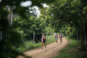 BIB: 
                            <button type="button" onclick="openModal(26829036)" class="btn btn-primary btn-sm float-right btn-popup" data-toggle="modal" data-target=".modal-high-quality">
                        <i class="fas fa-shopping-cart"></i> Add to Cart
                    </button>
                                            <button type="button" onclick="isThisMe(26829036, true)" class="btn btn-success btn-sm float-right btn-popup btn-isme hidden" data-toggle="tooltip" data-placement="bottom" title="นี่คือรูปของคุณใช่ไหม คลิกที่นี่เพื่อเอาเข้าอัลบั้ม">
                        <i class="fas fa-plus"></i> Add to album
                    </button>
                    <button type="button" onclick="isThisMe(26829036, false)" class="btn btn-warning btn-sm float-right btn-popup btn-isnotme hidden">
                        <i class="fas fa-ban"></i> Remove from album
                    </button>