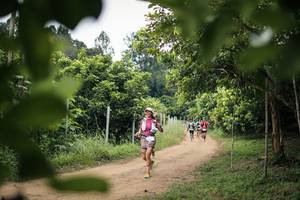 BIB: 
                            <button type="button" onclick="openModal(26823636)" class="btn btn-primary btn-sm float-right btn-popup" data-toggle="modal" data-target=".modal-high-quality">
                        <i class="fas fa-shopping-cart"></i> Add to Cart
                    </button>
                                            <button type="button" onclick="isThisMe(26823636, true)" class="btn btn-success btn-sm float-right btn-popup btn-isme hidden" data-toggle="tooltip" data-placement="bottom" title="นี่คือรูปของคุณใช่ไหม คลิกที่นี่เพื่อเอาเข้าอัลบั้ม">
                        <i class="fas fa-plus"></i> Add to album
                    </button>
                    <button type="button" onclick="isThisMe(26823636, false)" class="btn btn-warning btn-sm float-right btn-popup btn-isnotme hidden">
                        <i class="fas fa-ban"></i> Remove from album
                    </button>