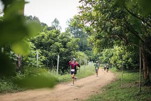 BIB: 
                            <button type="button" onclick="openModal(26822262)" class="btn btn-primary btn-sm float-right btn-popup" data-toggle="modal" data-target=".modal-high-quality">
                        <i class="fas fa-shopping-cart"></i> Add to Cart
                    </button>
                                            <button type="button" onclick="isThisMe(26822262, true)" class="btn btn-success btn-sm float-right btn-popup btn-isme hidden" data-toggle="tooltip" data-placement="bottom" title="นี่คือรูปของคุณใช่ไหม คลิกที่นี่เพื่อเอาเข้าอัลบั้ม">
                        <i class="fas fa-plus"></i> Add to album
                    </button>
                    <button type="button" onclick="isThisMe(26822262, false)" class="btn btn-warning btn-sm float-right btn-popup btn-isnotme hidden">
                        <i class="fas fa-ban"></i> Remove from album
                    </button>