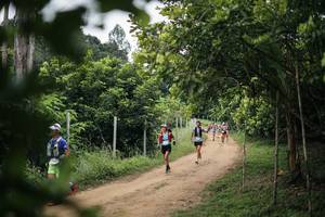 BIB: 
                            <button type="button" onclick="openModal(26829092)" class="btn btn-primary btn-sm float-right btn-popup" data-toggle="modal" data-target=".modal-high-quality">
                        <i class="fas fa-shopping-cart"></i> Add to Cart
                    </button>
                                            <button type="button" onclick="isThisMe(26829092, true)" class="btn btn-success btn-sm float-right btn-popup btn-isme hidden" data-toggle="tooltip" data-placement="bottom" title="นี่คือรูปของคุณใช่ไหม คลิกที่นี่เพื่อเอาเข้าอัลบั้ม">
                        <i class="fas fa-plus"></i> Add to album
                    </button>
                    <button type="button" onclick="isThisMe(26829092, false)" class="btn btn-warning btn-sm float-right btn-popup btn-isnotme hidden">
                        <i class="fas fa-ban"></i> Remove from album
                    </button>