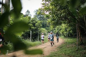 BIB: 
                            <button type="button" onclick="openModal(26827271)" class="btn btn-primary btn-sm float-right btn-popup" data-toggle="modal" data-target=".modal-high-quality">
                        <i class="fas fa-shopping-cart"></i> Add to Cart
                    </button>
                                            <button type="button" onclick="isThisMe(26827271, true)" class="btn btn-success btn-sm float-right btn-popup btn-isme hidden" data-toggle="tooltip" data-placement="bottom" title="นี่คือรูปของคุณใช่ไหม คลิกที่นี่เพื่อเอาเข้าอัลบั้ม">
                        <i class="fas fa-plus"></i> Add to album
                    </button>
                    <button type="button" onclick="isThisMe(26827271, false)" class="btn btn-warning btn-sm float-right btn-popup btn-isnotme hidden">
                        <i class="fas fa-ban"></i> Remove from album
                    </button>