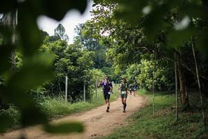 BIB: 
                            <button type="button" onclick="openModal(26822084)" class="btn btn-primary btn-sm float-right btn-popup" data-toggle="modal" data-target=".modal-high-quality">
                        <i class="fas fa-shopping-cart"></i> Add to Cart
                    </button>
                                            <button type="button" onclick="isThisMe(26822084, true)" class="btn btn-success btn-sm float-right btn-popup btn-isme hidden" data-toggle="tooltip" data-placement="bottom" title="นี่คือรูปของคุณใช่ไหม คลิกที่นี่เพื่อเอาเข้าอัลบั้ม">
                        <i class="fas fa-plus"></i> Add to album
                    </button>
                    <button type="button" onclick="isThisMe(26822084, false)" class="btn btn-warning btn-sm float-right btn-popup btn-isnotme hidden">
                        <i class="fas fa-ban"></i> Remove from album
                    </button>