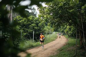 BIB: 
                            <button type="button" onclick="openModal(26829141)" class="btn btn-primary btn-sm float-right btn-popup" data-toggle="modal" data-target=".modal-high-quality">
                        <i class="fas fa-shopping-cart"></i> Add to Cart
                    </button>
                                            <button type="button" onclick="isThisMe(26829141, true)" class="btn btn-success btn-sm float-right btn-popup btn-isme hidden" data-toggle="tooltip" data-placement="bottom" title="นี่คือรูปของคุณใช่ไหม คลิกที่นี่เพื่อเอาเข้าอัลบั้ม">
                        <i class="fas fa-plus"></i> Add to album
                    </button>
                    <button type="button" onclick="isThisMe(26829141, false)" class="btn btn-warning btn-sm float-right btn-popup btn-isnotme hidden">
                        <i class="fas fa-ban"></i> Remove from album
                    </button>