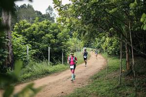 BIB: 
                            <button type="button" onclick="openModal(26827718)" class="btn btn-primary btn-sm float-right btn-popup" data-toggle="modal" data-target=".modal-high-quality">
                        <i class="fas fa-shopping-cart"></i> Add to Cart
                    </button>
                                            <button type="button" onclick="isThisMe(26827718, true)" class="btn btn-success btn-sm float-right btn-popup btn-isme hidden" data-toggle="tooltip" data-placement="bottom" title="นี่คือรูปของคุณใช่ไหม คลิกที่นี่เพื่อเอาเข้าอัลบั้ม">
                        <i class="fas fa-plus"></i> Add to album
                    </button>
                    <button type="button" onclick="isThisMe(26827718, false)" class="btn btn-warning btn-sm float-right btn-popup btn-isnotme hidden">
                        <i class="fas fa-ban"></i> Remove from album
                    </button>