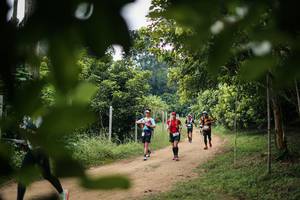 BIB: 
                            <button type="button" onclick="openModal(26821748)" class="btn btn-primary btn-sm float-right btn-popup" data-toggle="modal" data-target=".modal-high-quality">
                        <i class="fas fa-shopping-cart"></i> Add to Cart
                    </button>
                                            <button type="button" onclick="isThisMe(26821748, true)" class="btn btn-success btn-sm float-right btn-popup btn-isme hidden" data-toggle="tooltip" data-placement="bottom" title="นี่คือรูปของคุณใช่ไหม คลิกที่นี่เพื่อเอาเข้าอัลบั้ม">
                        <i class="fas fa-plus"></i> Add to album
                    </button>
                    <button type="button" onclick="isThisMe(26821748, false)" class="btn btn-warning btn-sm float-right btn-popup btn-isnotme hidden">
                        <i class="fas fa-ban"></i> Remove from album
                    </button>